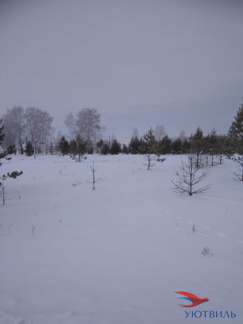Земельный участок поселок Баженово в Новороссийске - novorossijsk.yutvil.ru - фото 2 Земельный участок поселок Баженово в Новороссийске - novorossijsk.yutvil.ru - фото 2