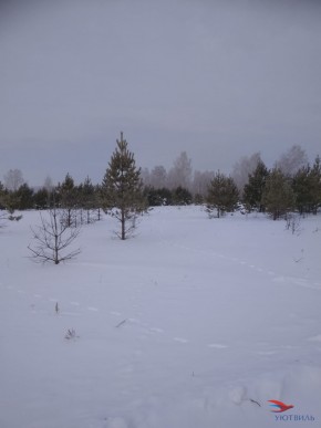 Баженово ул Южная д 7 в Новороссийске - novorossijsk.yutvil.ru - фото 5 Баженово ул Южная д 7 в Новороссийске - novorossijsk.yutvil.ru - фото 5