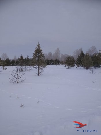 Земельный участок поселок Баженово в Новороссийске - novorossijsk.yutvil.ru - фото 5 Земельный участок поселок Баженово в Новороссийске - novorossijsk.yutvil.ru - фото 5