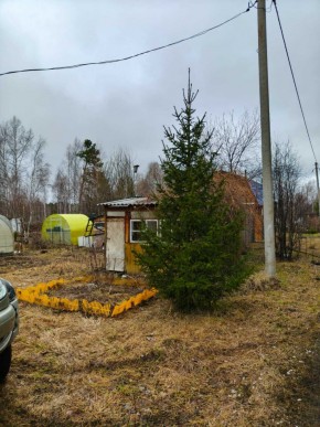 СНТ Родники в Новороссийске - novorossijsk.yutvil.ru - фото 5 СНТ Родники в Новороссийске - novorossijsk.yutvil.ru - фото 5