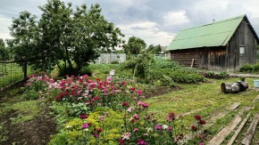 ул. 8-е Марта,46 в Новороссийске - novorossijsk.yutvil.ru - фото 10 ул. 8-е Марта,46 в Новороссийске - novorossijsk.yutvil.ru - фото 10